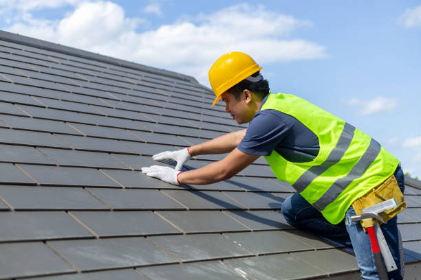 Best Roof Inspection Near Me  in Mount Morris, IL