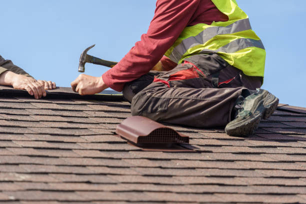 Best Storm Damage Roof Repair  in Mount Morris, IL
