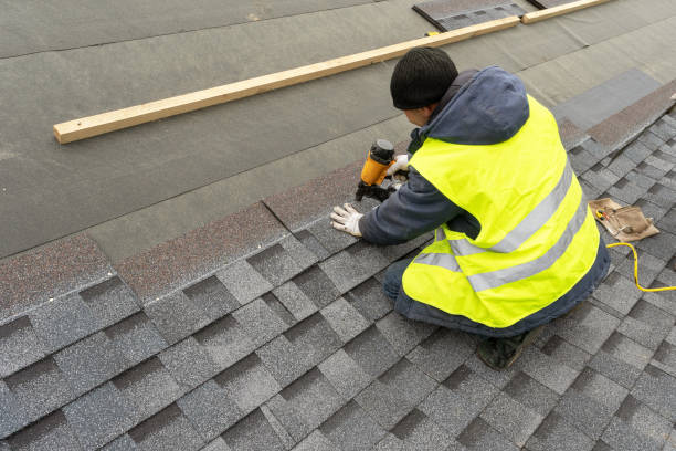 Best Roof Repair Services  in Mount Morris, IL