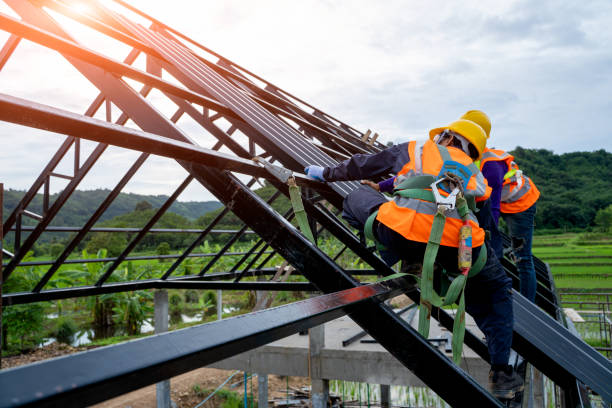 Best Roof Maintenance Services  in Mount Morris, IL