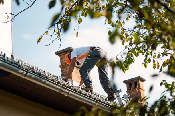 Best Residential Roof Replacement  in Mount Morris, IL
