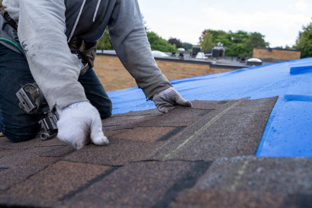 Best New Roof Installation  in Mount Morris, IL