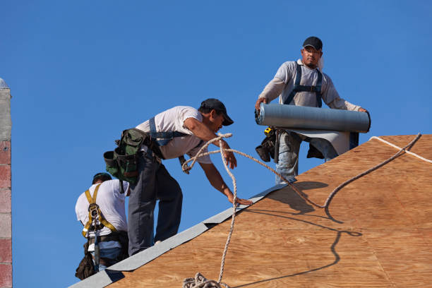 Best Residential Roofing Contractor  in Mount Morris, IL