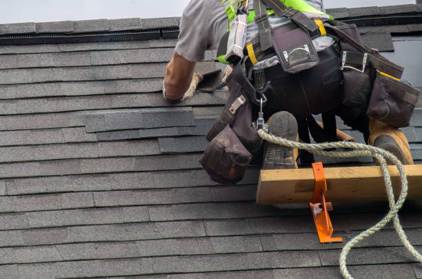 Best Flat Roof Repair Services  in Mount Morris, IL