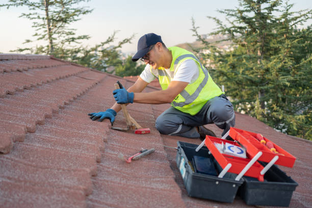 Best Roof Restoration Services  in Mount Morris, IL
