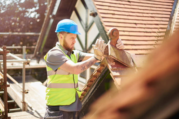 Best Roof Gutter Cleaning  in Mount Morris, IL