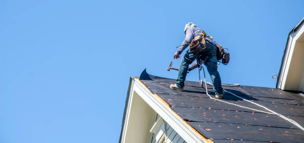 Best Residential Roofing Contractor  in Mount Morris, IL