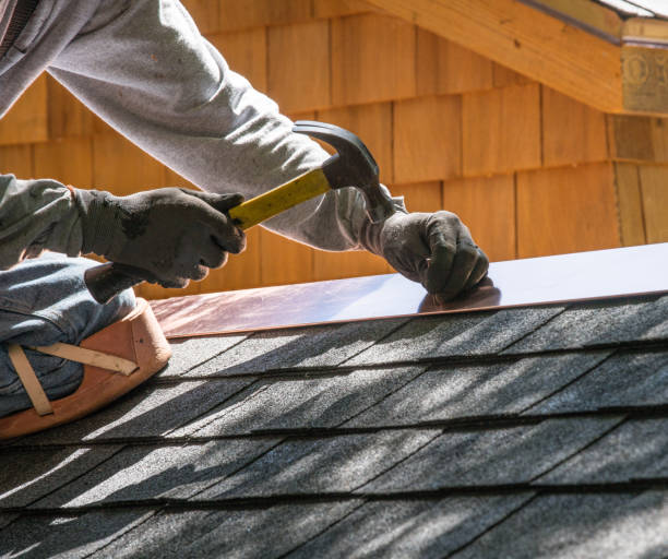 Best Roof Repair Specialists  in Mount Morris, IL